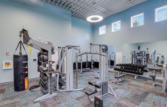 Full Size Fitness Center