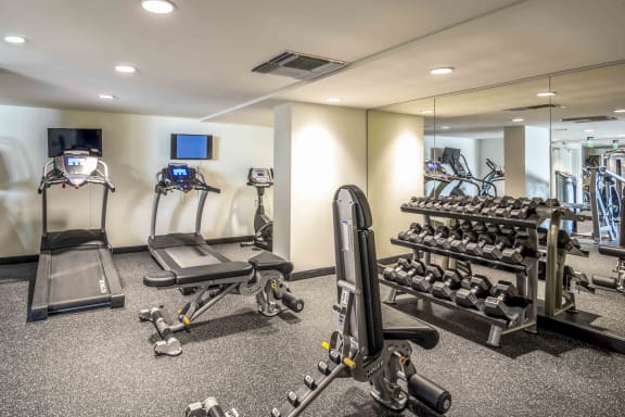 Fitness center- cardio machines, free weights