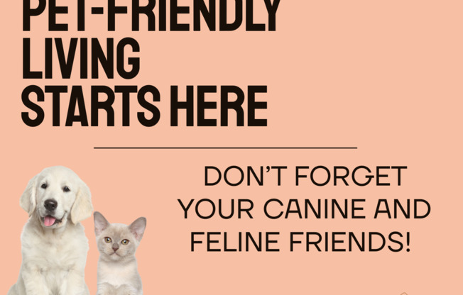 2 beds, 1 bath, 830 sqft, $1,275, Unit A06*