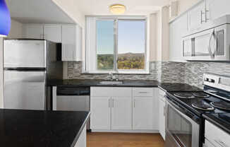 Kitchen with Stainless Steel Appliances