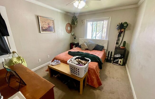 1 bed, 1 bath, $925, Unit 206