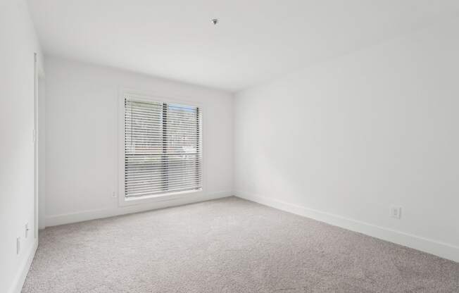A large bedroom with a carpeted floor and a window