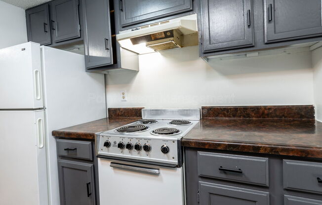 Studio, 1 bath, 384 sqft, $595, Unit 2110