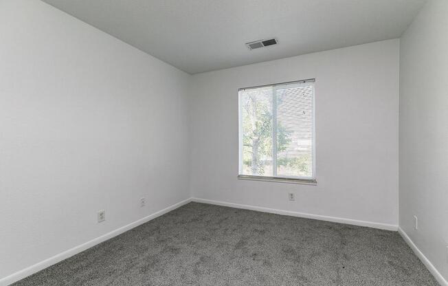 Carpeted Bedroom With Double Windows