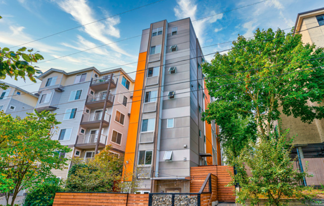 Studio, 1 bath, 155 sqft, $950