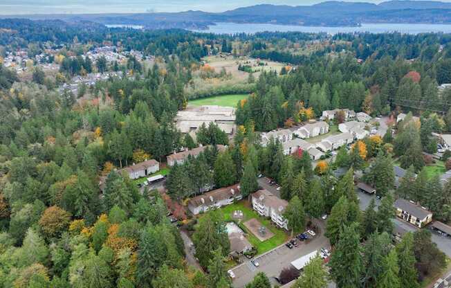 A bird's eye view of a residential area surrounded by trees.
