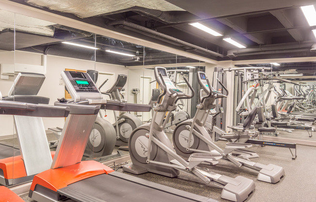 Studio, 1 bath, 460 sqft, $2,200