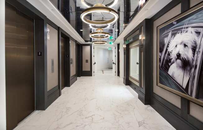 a view down a corridor in a building with black walls and white marble floors