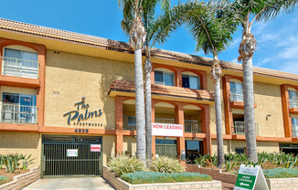 The Palms Apartments