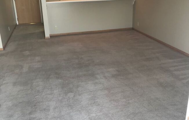 1 bed, 1 bath, 772 sqft, $1,039, Unit 3-207