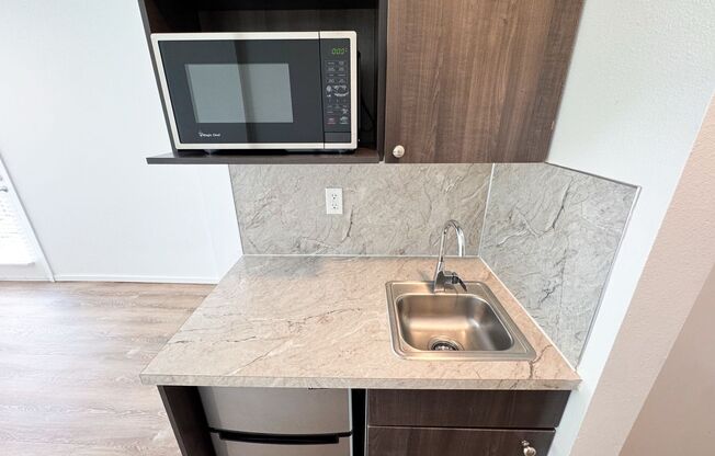 Studio, 1 bath, 186 sqft, $1,325, Unit 213