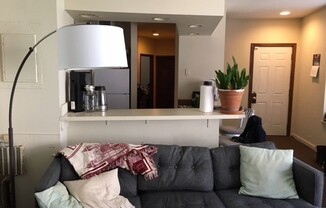538 TREMONT