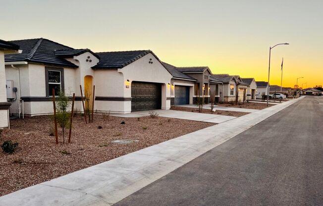 1131 W Chimes Tower Dr, Casa Grande AZ 85122- 4 bedrooms and 2 baths- modern and luxurious design.