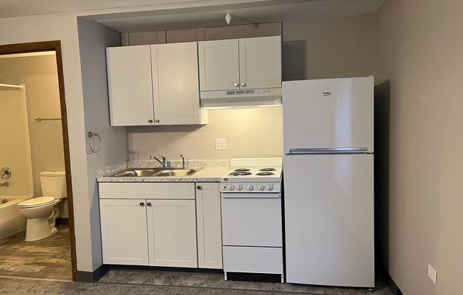 Studio, 1 bath, 263 sqft, $730, Unit 303