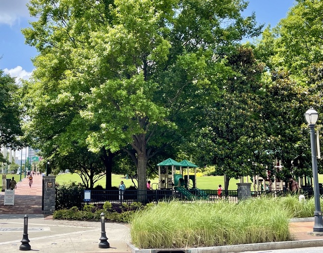 Centennial Park Playground