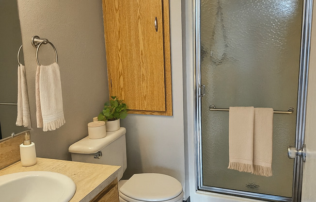 1 bed, 1 bath, 564 sqft, $1,245, Unit 2430-03