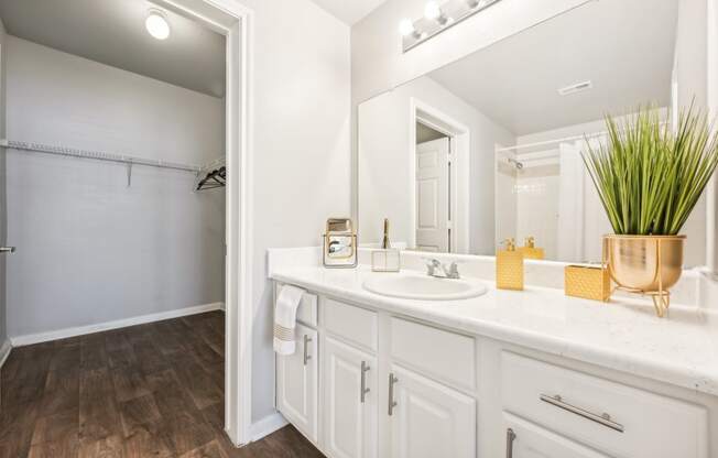 a bathroom with a sink and a mirror and a shower