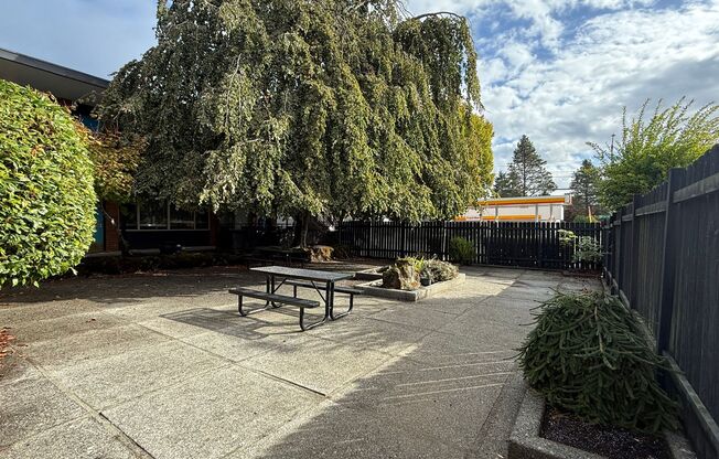 Nedra Apartments – Boutique West Seattle Living Near Lincoln Park