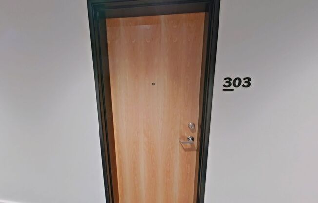 Studio, 1 bath, 314 sqft, $1,225, Unit 303