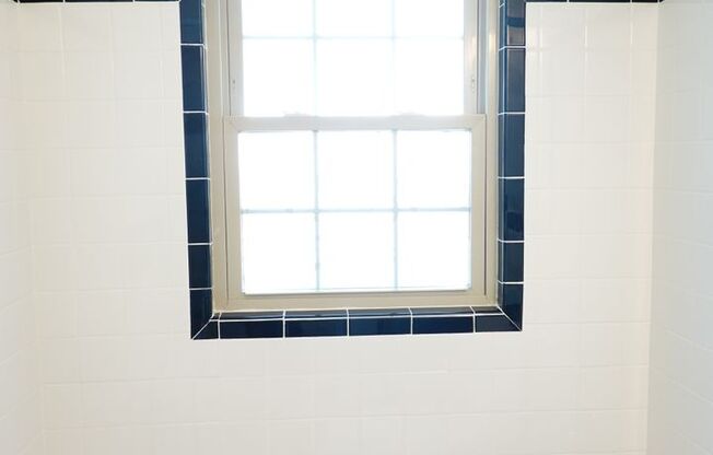 310 Domer Avenue SPRING PARK PROPERTIES, LLC