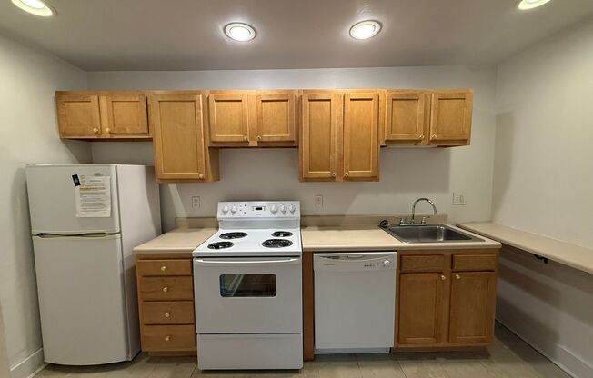Studio, 1 bath, 315 sqft, $1,200, Unit New King Edward 1A4