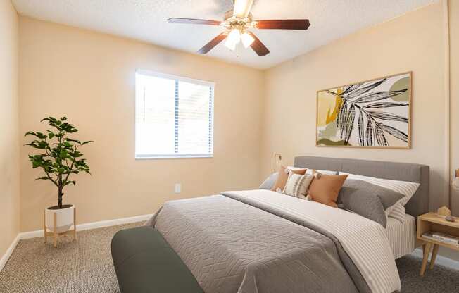 A bedroom with a bed, a ceiling fan, and a potted plant.