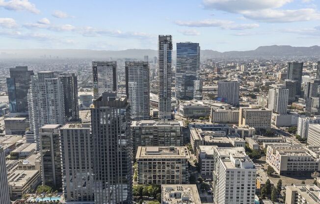 1 bed, 1 bath, 790 sqft, $2,600, Unit 1019