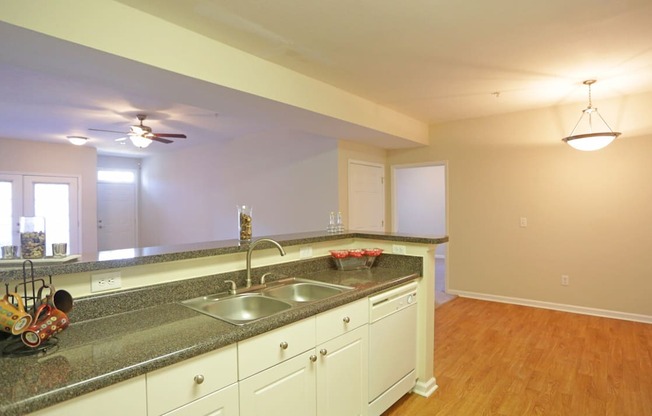 A kitchen with a sink and a window.