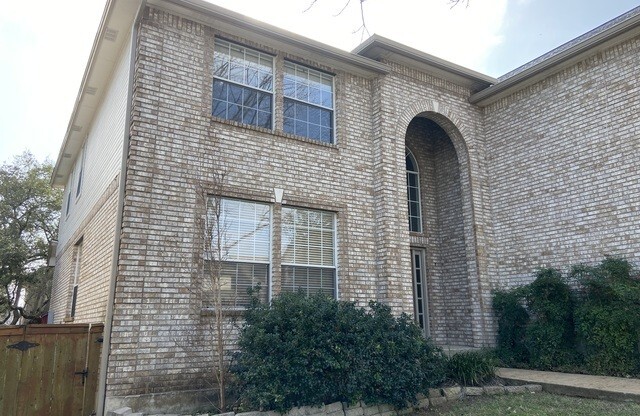 2506 OX EYE TRL