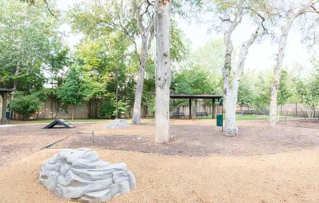 Outdoor Park for Pets
