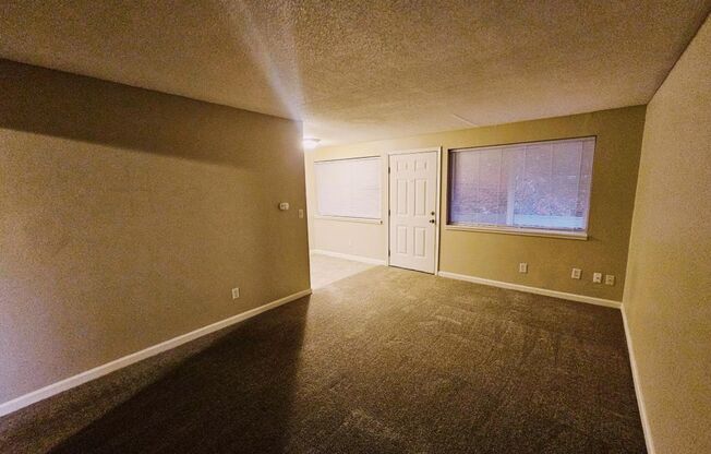 1 bed, 1 bath, 540 sqft, $1,249, Unit 3