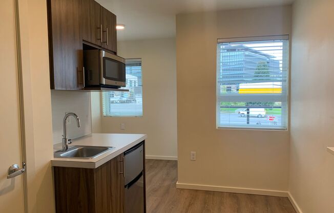Studio, 1 bath, 175 sqft, $1,295, Unit 218