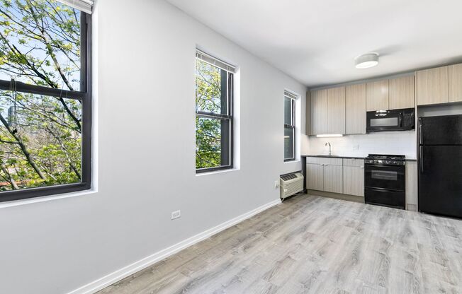 Studio, 1 bath, 242 sqft, $1,500, Unit 307