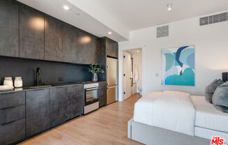 Studio, 1 bath, 480 sqft, $3,195, Unit 305