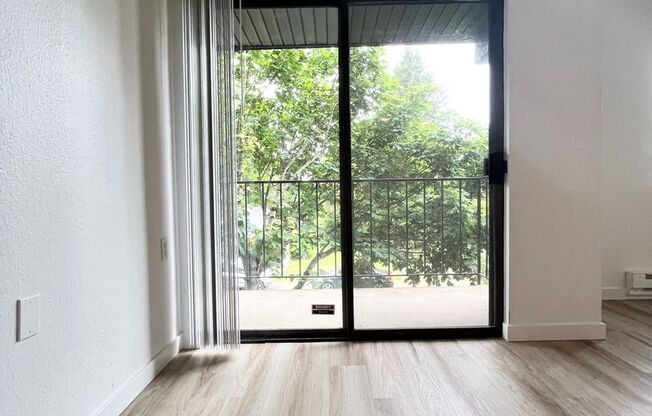 Studio, 1 bath, 480 sqft, $1,495, Unit 218