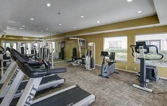 A gym with treadmills, weights, and exercise machines.