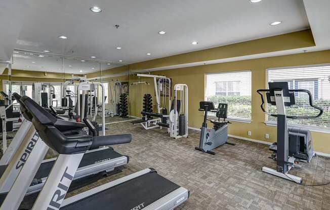 A gym with treadmills, weights, and exercise machines.