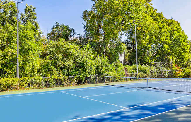 Tennis Court Area at River Oak Apartments, Kentucky