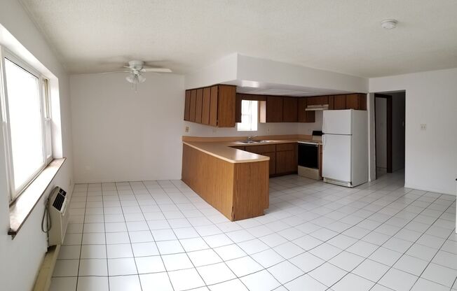 Frances Gustafson 517