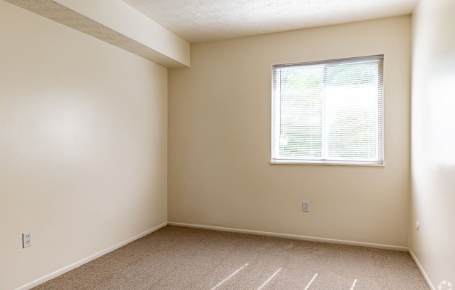 an empty bedroom with a window and carpeting