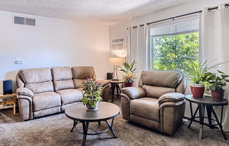 Great natural light in living room with carpeted floors