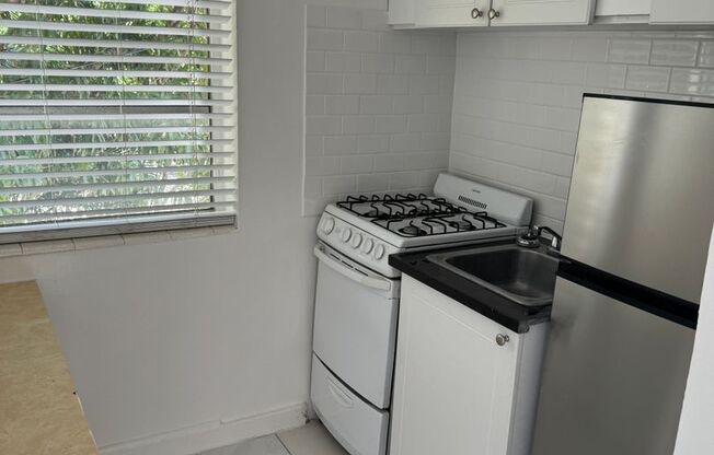 Studio, 1 bath, 300 sqft, $1,225, Unit 10