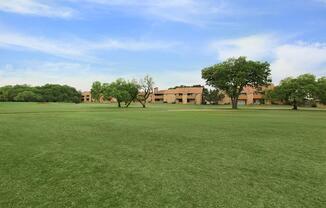 a large green field with trees in the background