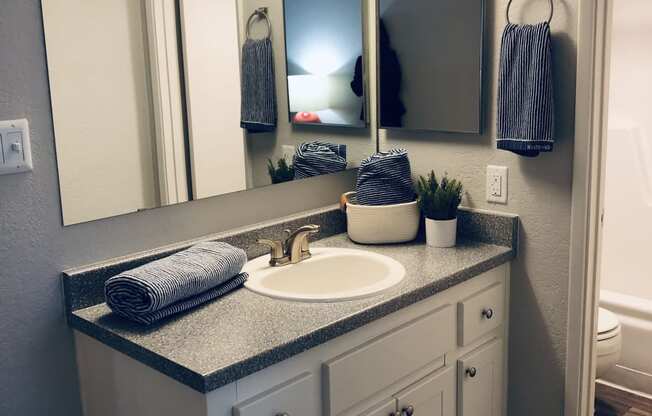 Bathroom Vanity at La Costa at Dobson Ranch Apartments