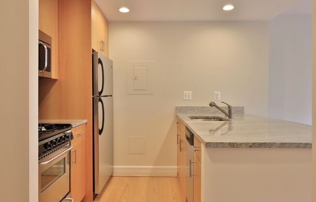 Studio, 1 bath, 440 sqft, $2,700, Unit 1009