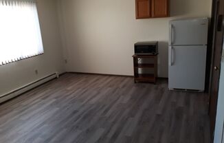 Studio, 1 bath, 350 sqft, $505, Unit 3315-17-B