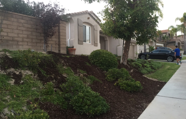 556 ROCKING HORSE DR