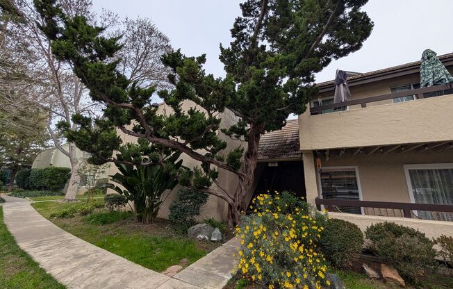 3 bed / 2 bah Condo. Hardwood floor, forced heat, lots of HOA amenities