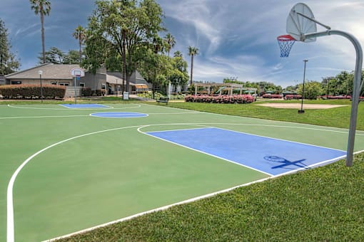 A basketball court