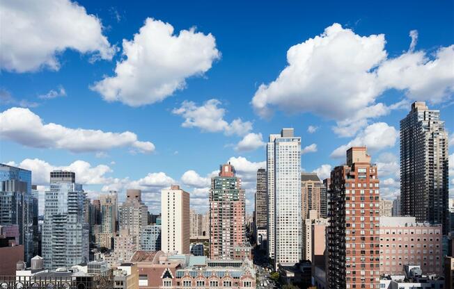 1 bed, 1 bath, $4,025, Unit 1213